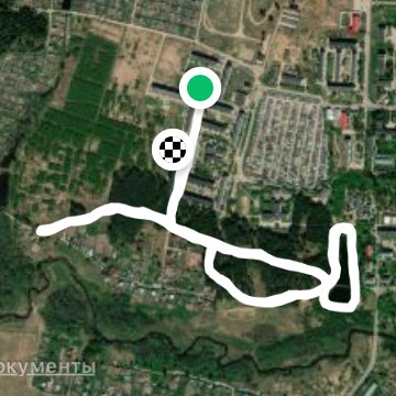 Сосновый бор