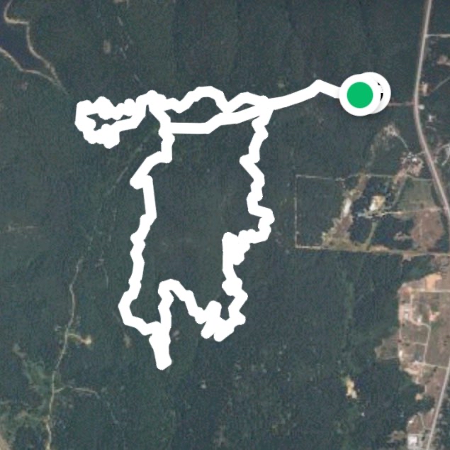 Keystone Ancient Forest