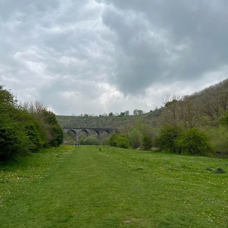 Monsol head from Ashford in the water