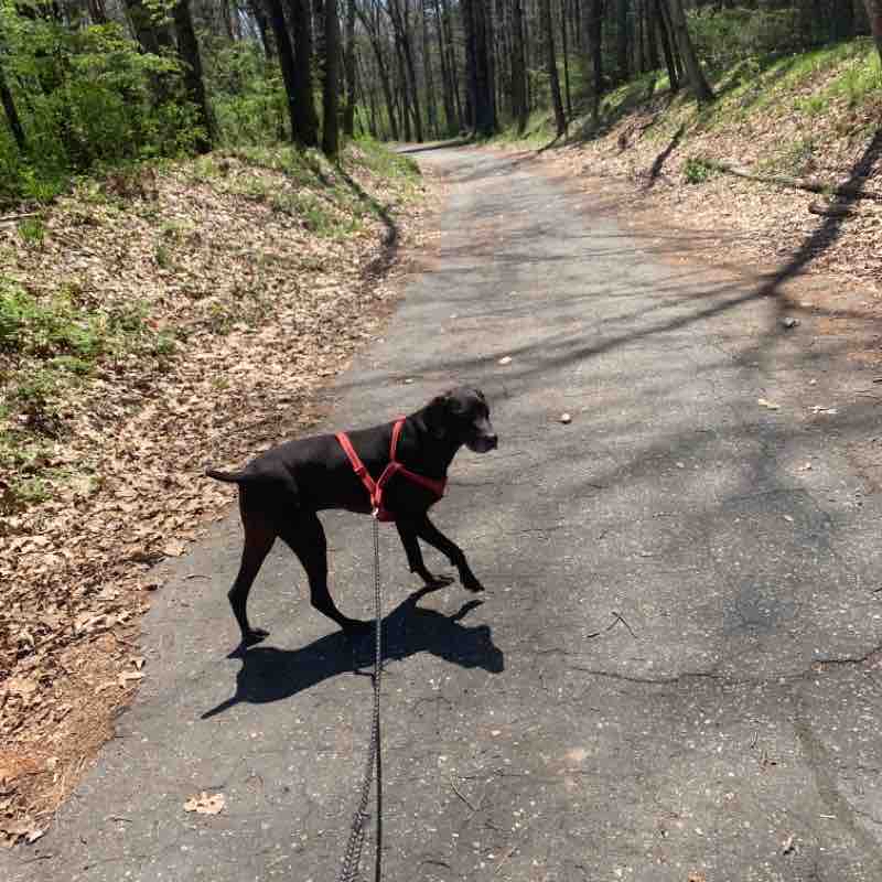 Thompson Dam Thompson Connecticut