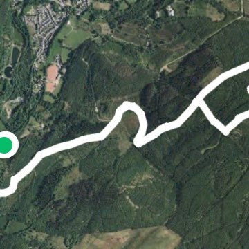 Quick walk to find the moon gazing Hare of Crynant