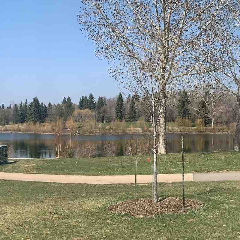 Lacombe Park Walk