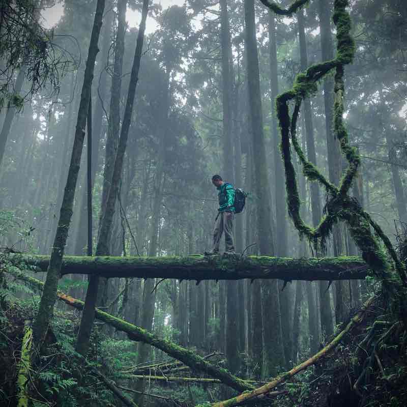 自忠-特富野古道
