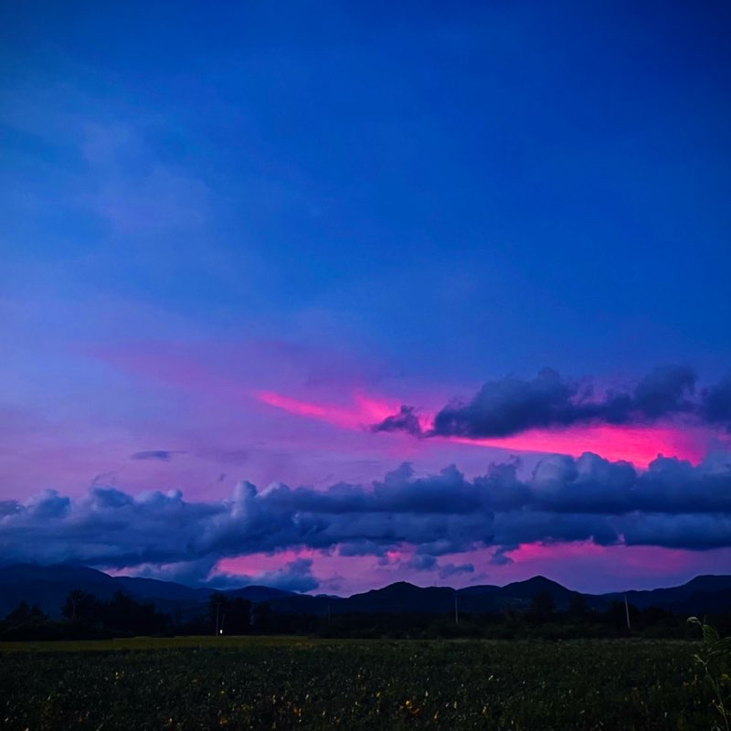 仁壽洋蔥田堤岸