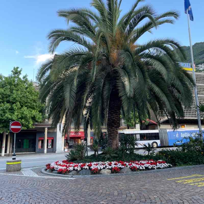 Via ai monti - Stazione Locarno