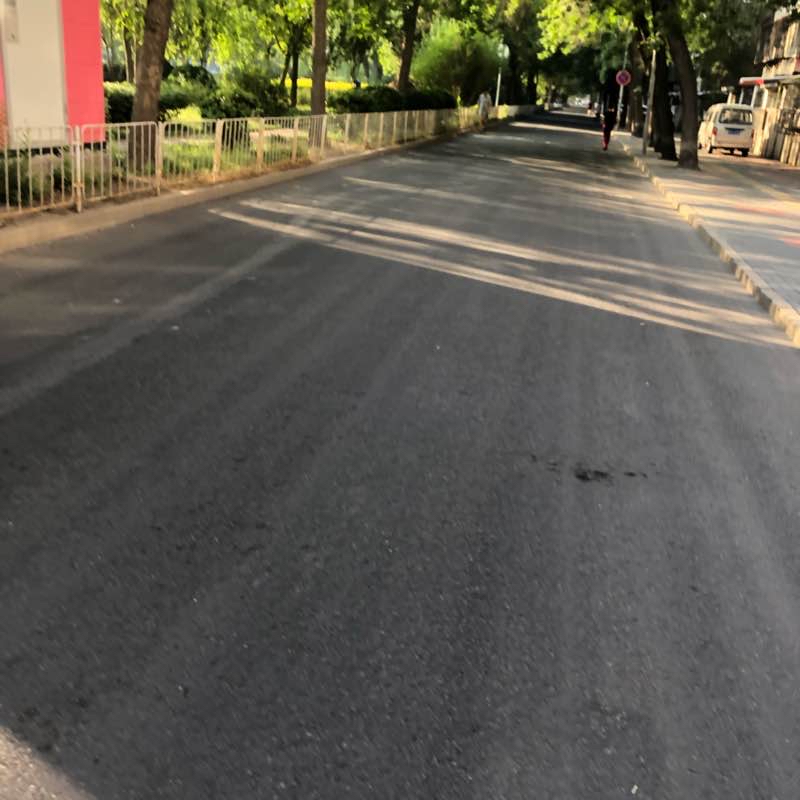 卫津河路段
