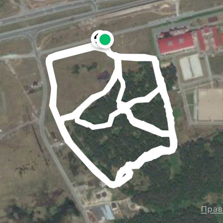 Рифейчик!!! Красивый лес.., а как птицы поют!!!!!!