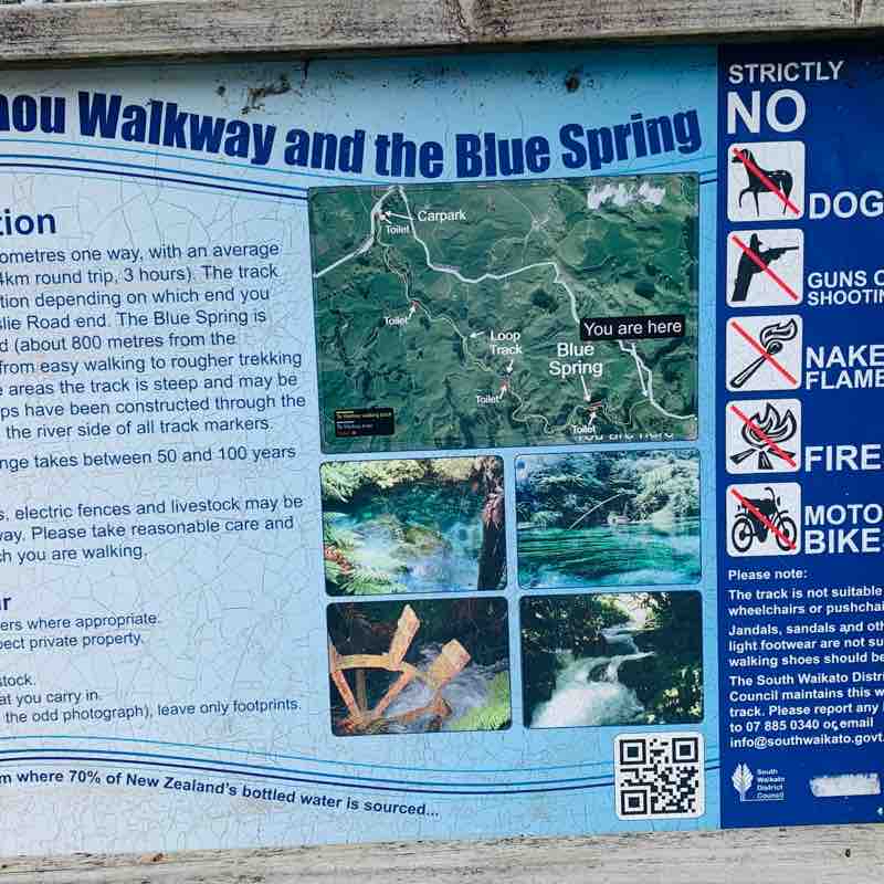Blue Springs Putaruru South Waikato