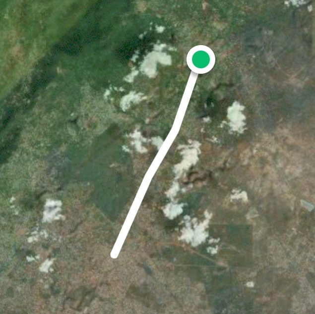 Morning walk routine