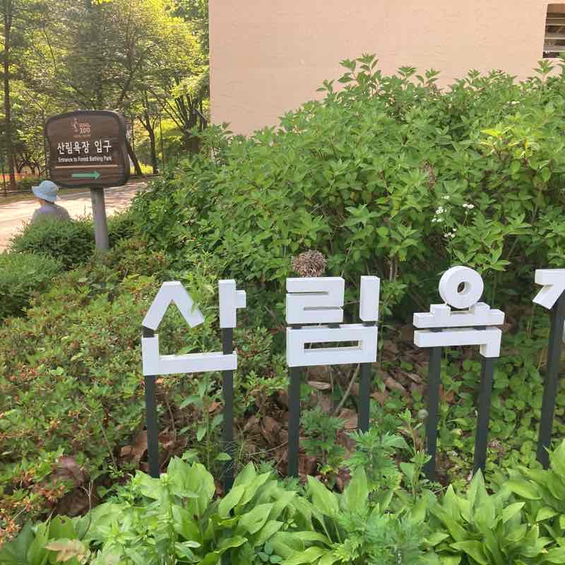 서울어린이대공원 산림욕장길