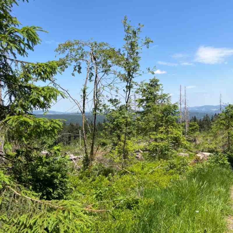 Rennsteig: Neustadt am Rennsteig-Masserberg