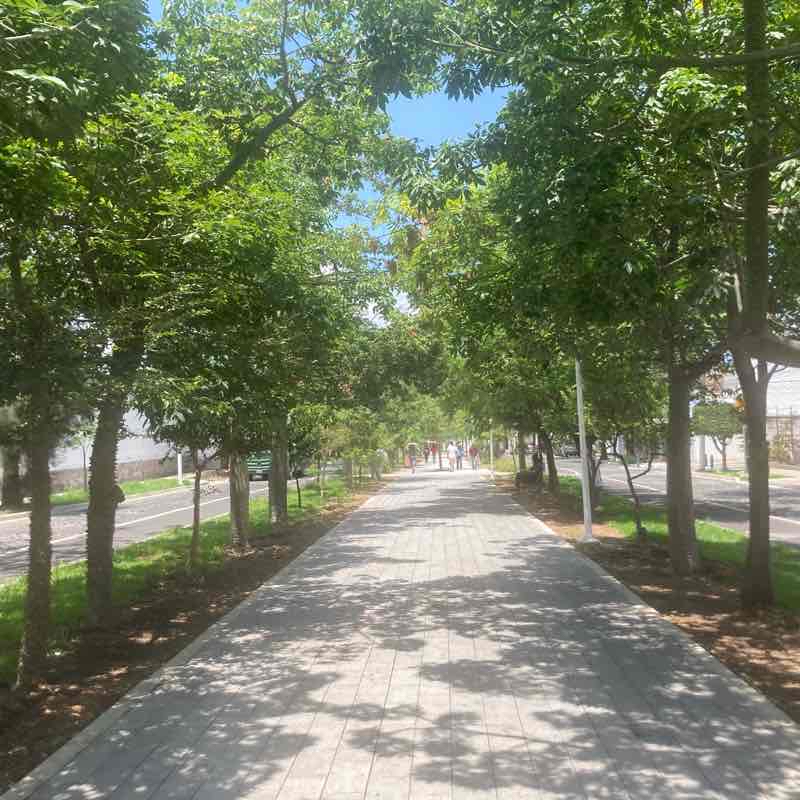 Andador Aurelio Ortega