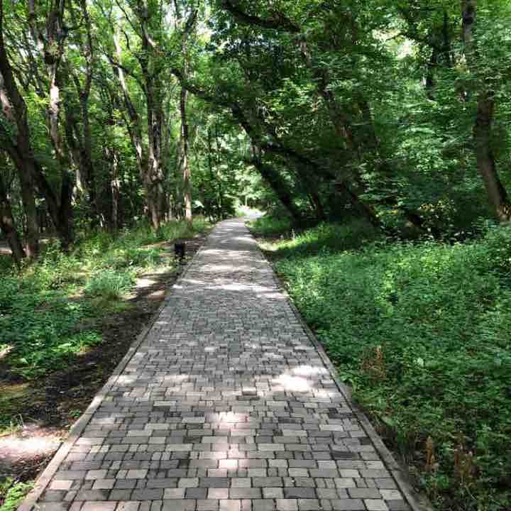 От дуэли до лагерей