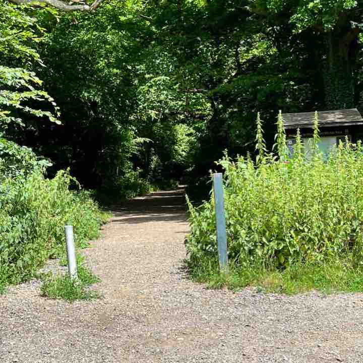 Horne Hill