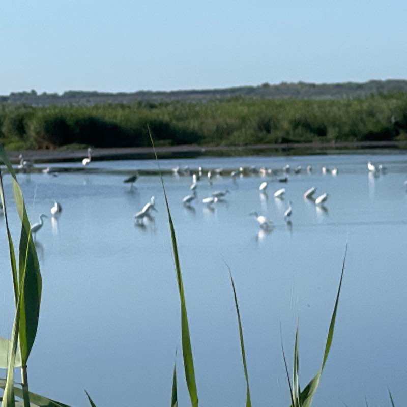 L’étang de l’or en vélo