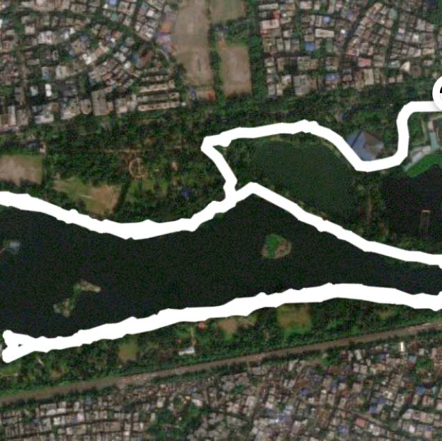 Thursday Morning Walk