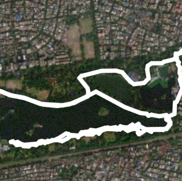 Wednesday Morning Walk