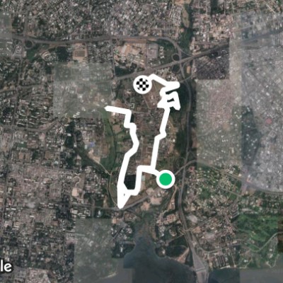 parcours universitaire