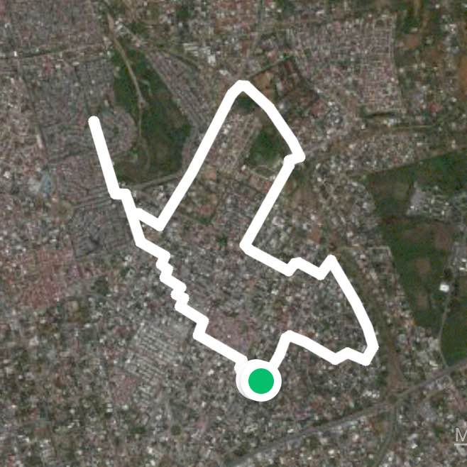 Marcheur blanc palmeraie