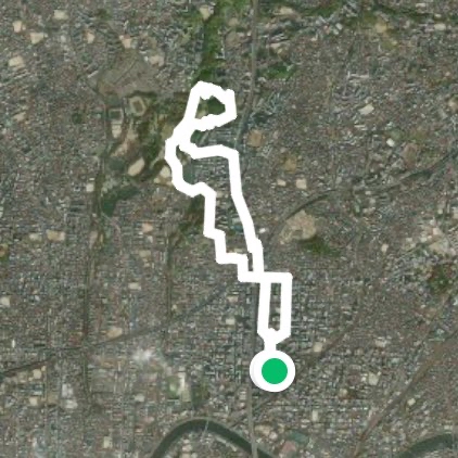 Sunday morning routine Ryokichi park