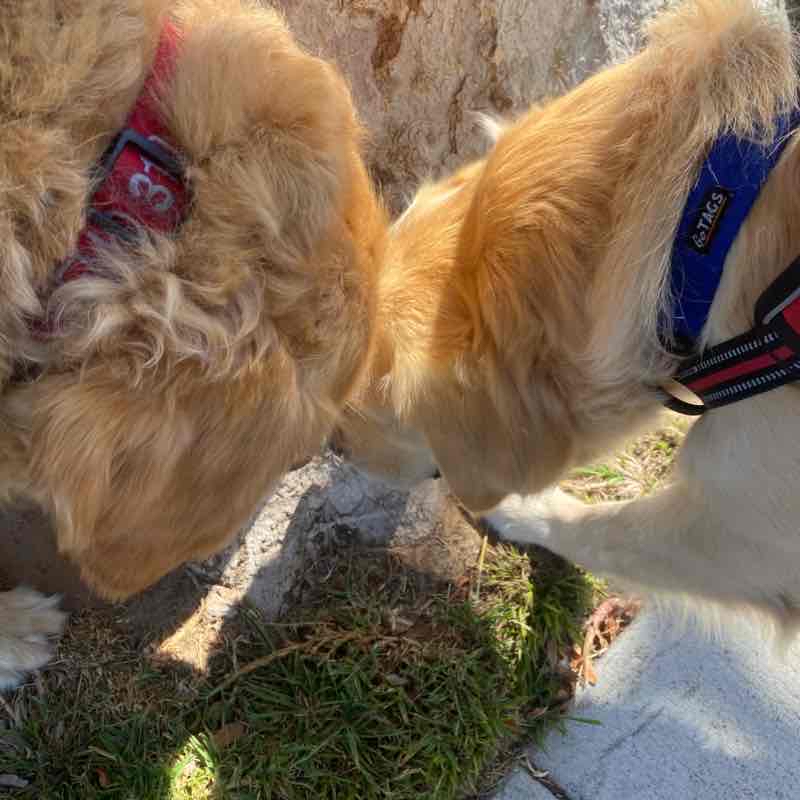 Nemo and Dory Tue PM July 19