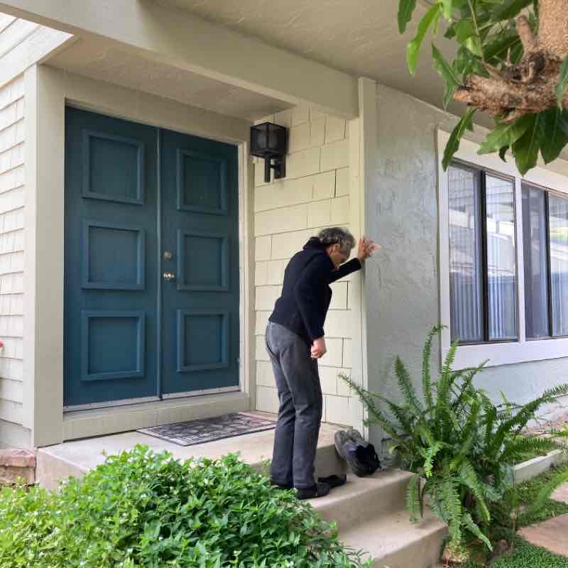 Novato Walk w/ Raynett