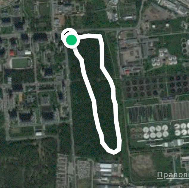 Лес у очистных сооружений