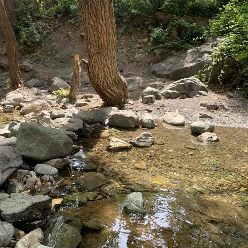 داراباد برای نوب ها