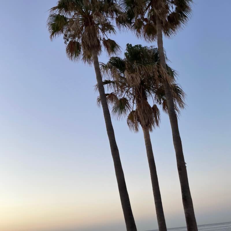 Набережна Сан Педро