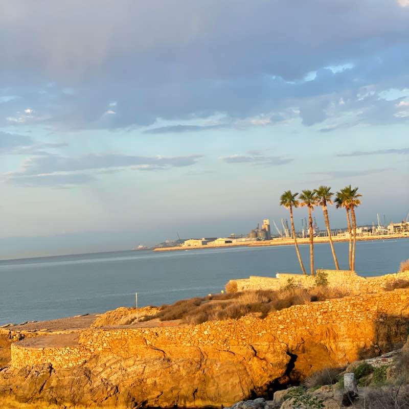 Тарагона По узбережжю!