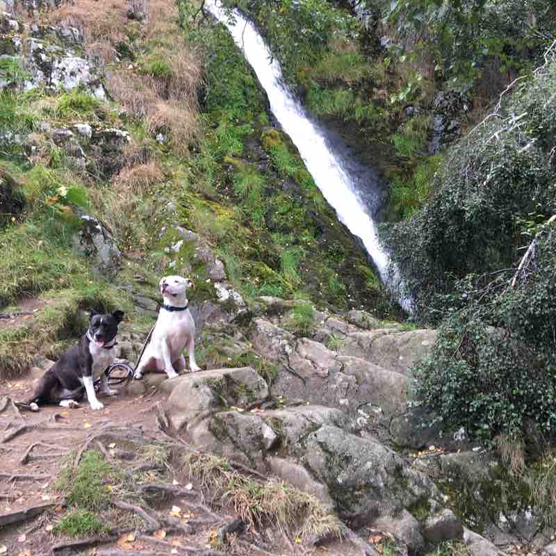 Linhope spout waterfall