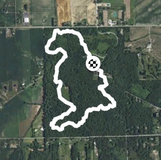 Secor Metropark Brown Trail