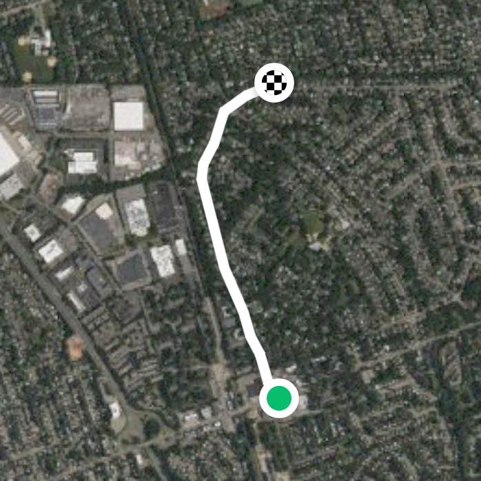 Midday walk before work