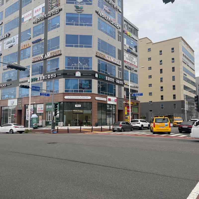 만보 동물병원 다녀오는 길