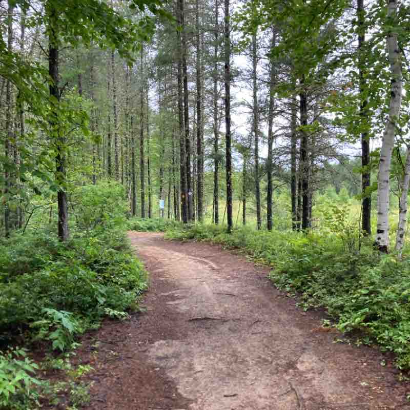 Rando au Lac Taureau,Qc