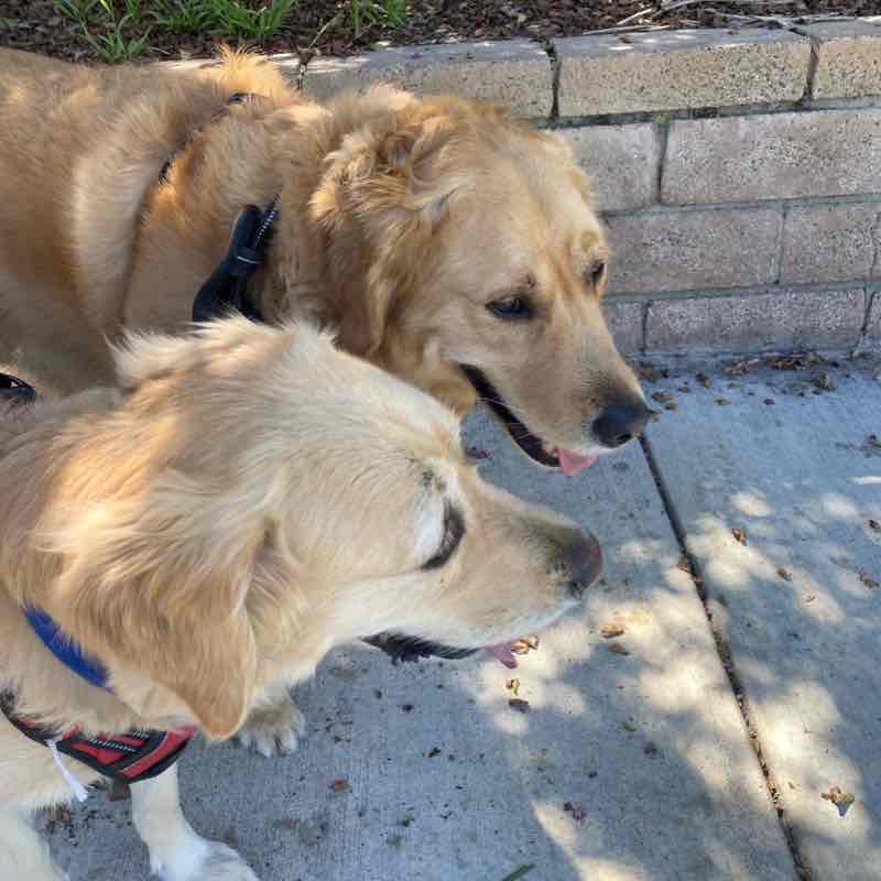 Nemo and Dory Fri PM Aug 12