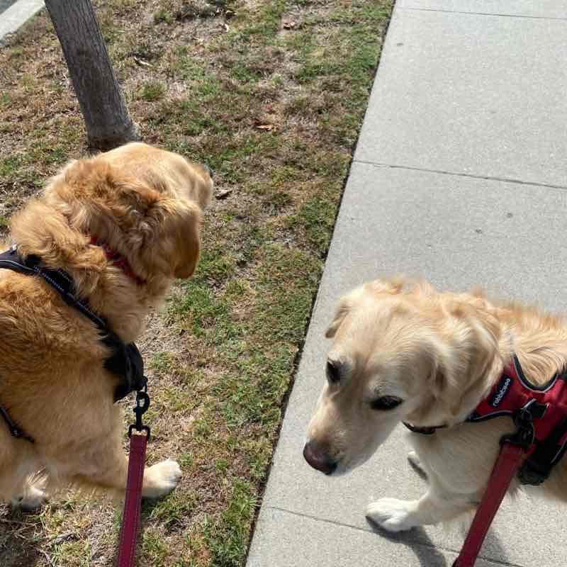 Nemo and Dory Tue PM Aug 23