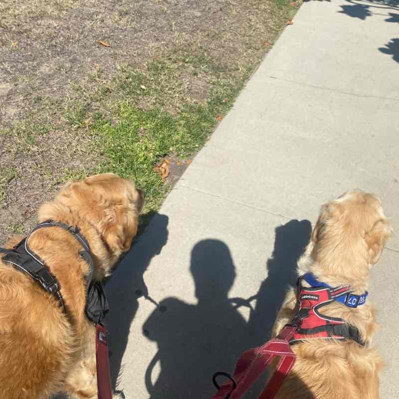 Nemo and Dory Mon PM Aug 8