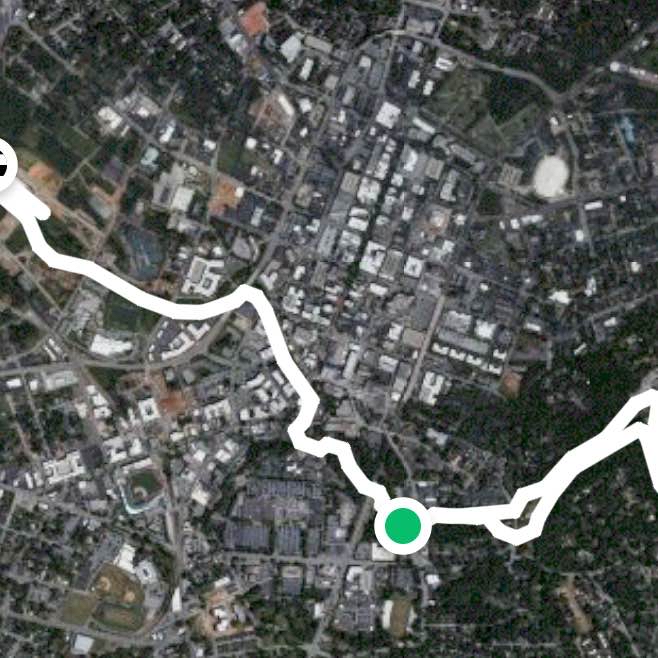 Swamp Rabbit