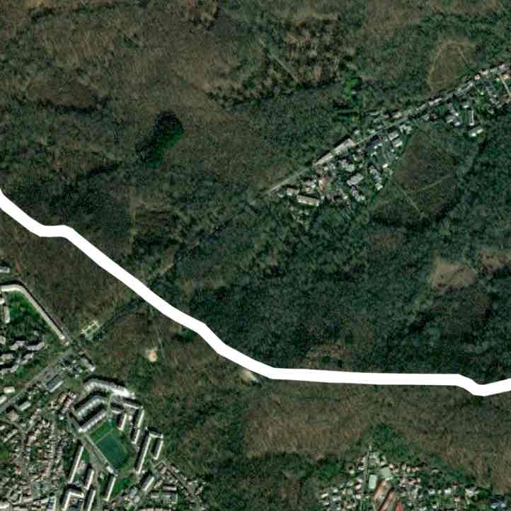 Route au milieu du foret