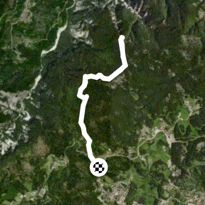 Il respiro degli alberi