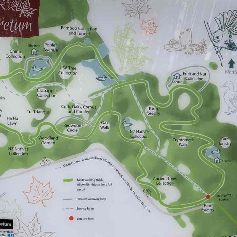 Taitua Arboretum