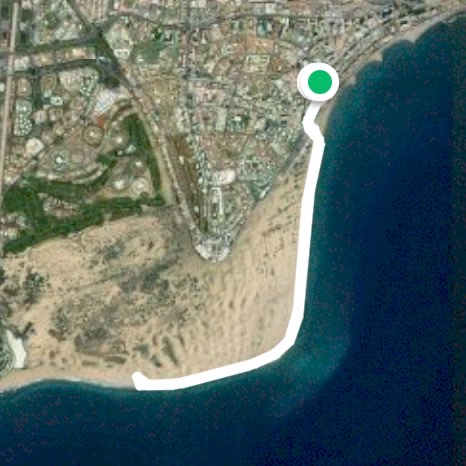 Playa del Ingles return