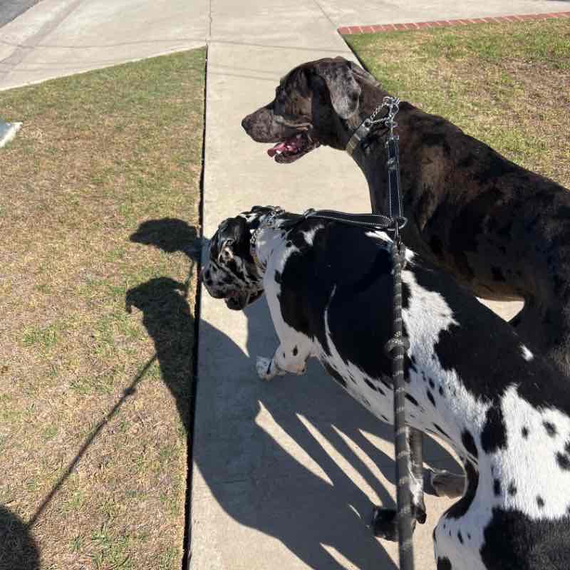 Boulder And Denver Tue Sep 27