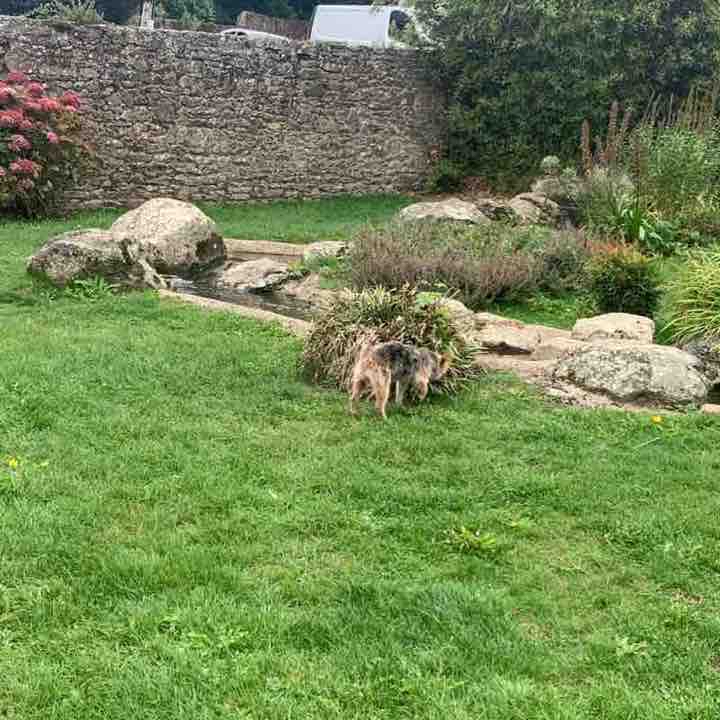 Faire le tour de l’étang de Châtelaudren plouagat