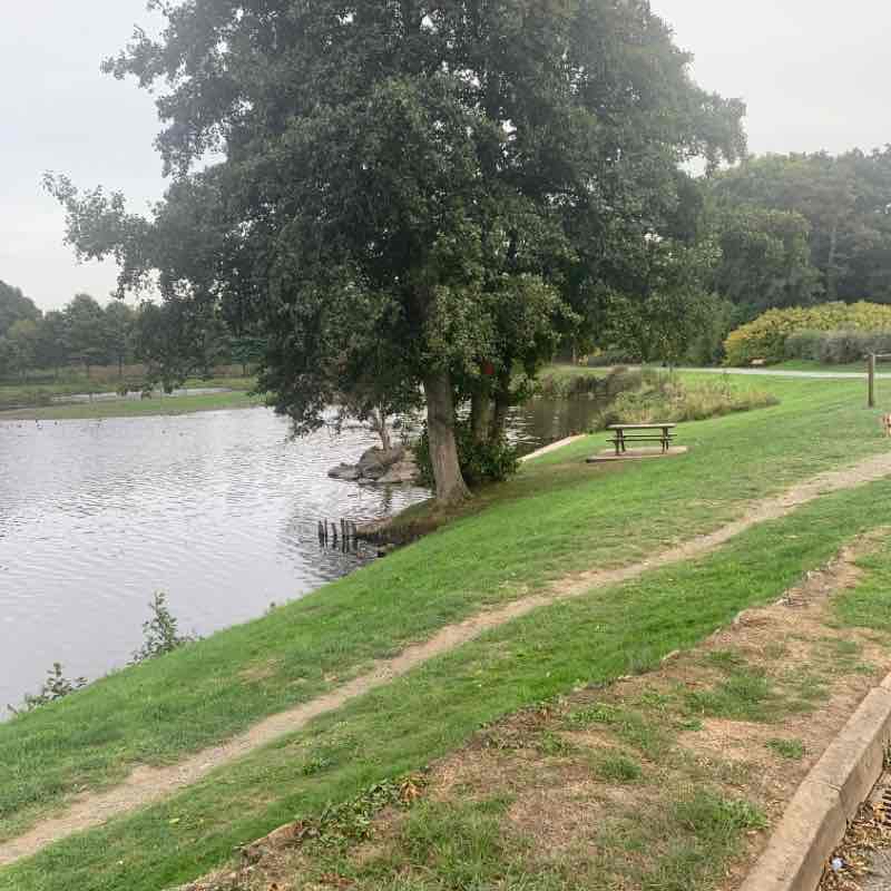 L’étang de Châtelaudren plouagat