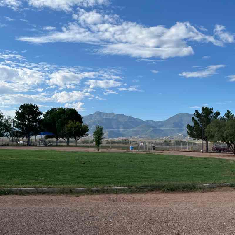 Morning walk at Tompkins Park