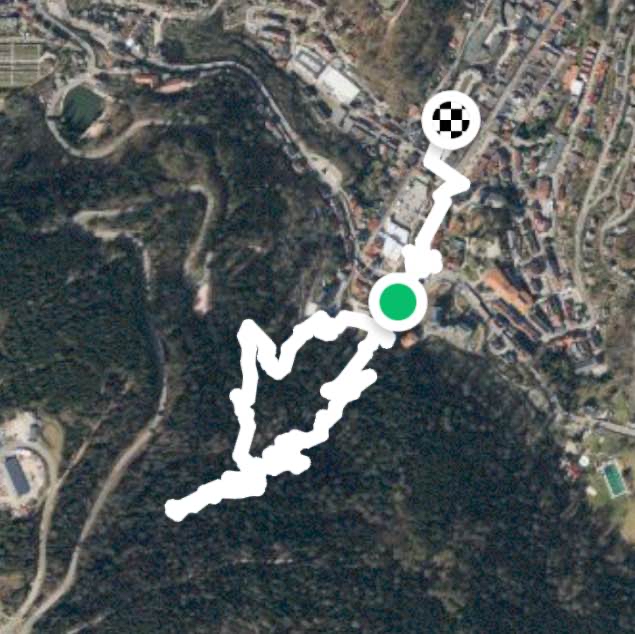 2.9.22 camminata forestale