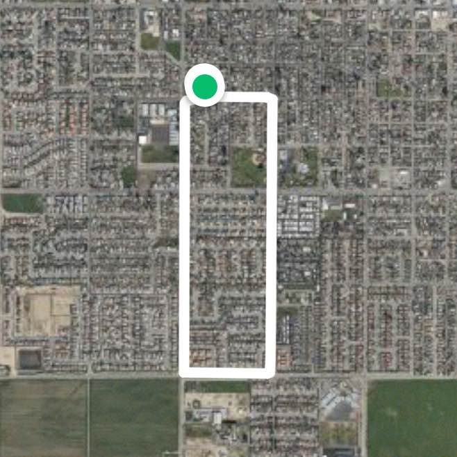 Palm Filburn poplar 9th