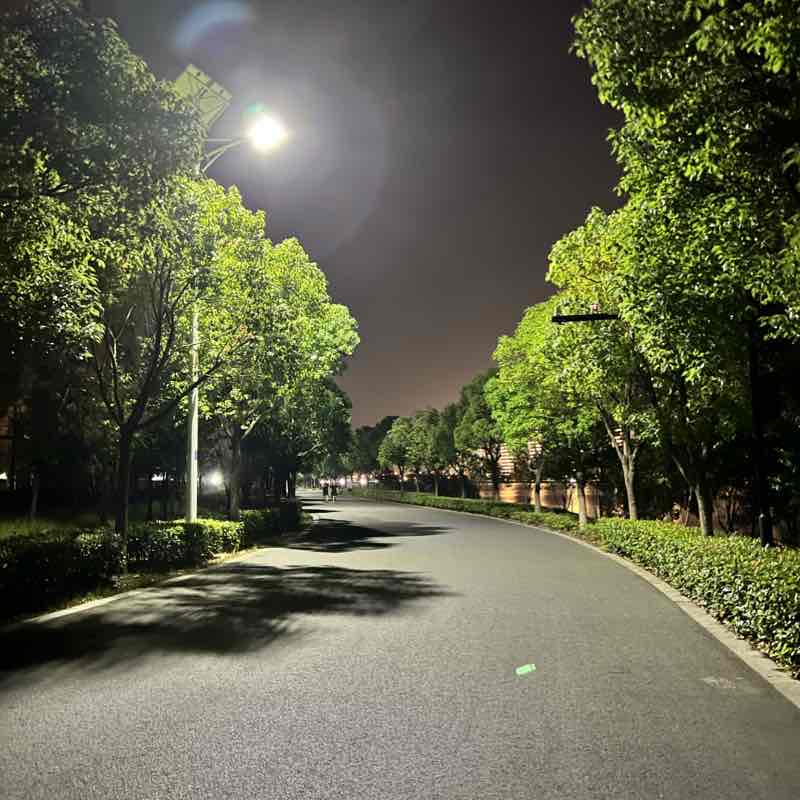 Evening Running